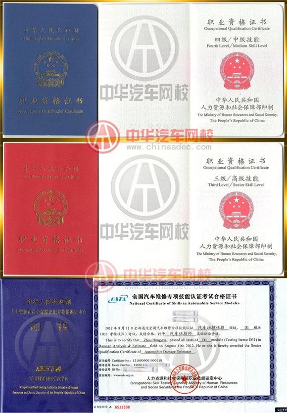@m.companytranslator.com